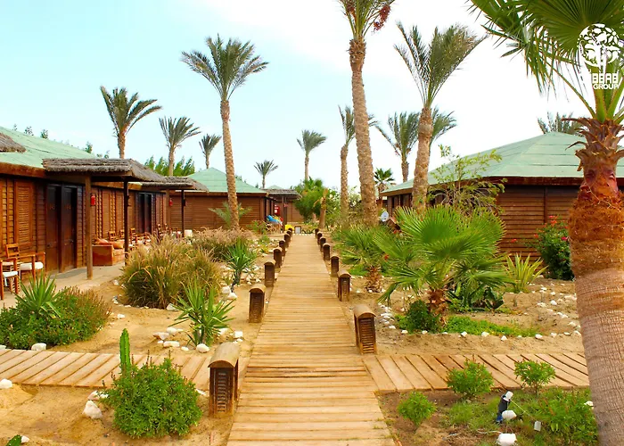 Abu Dabbab