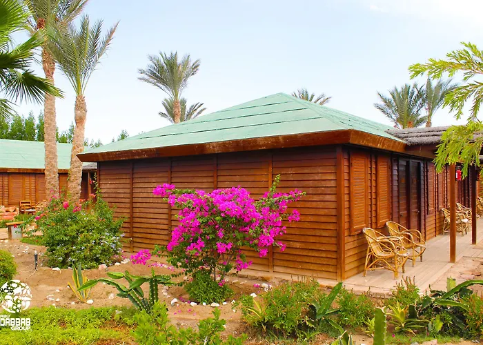 Abu Dabbab 3* Marsza Alam