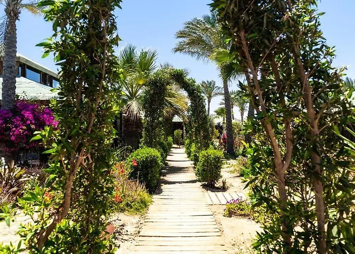 Abu Dabbab Marsza Alam